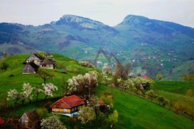 Pension Casa Tolstoi | accommodation Bran