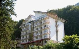 Hotel Orizont | accommodation Calimanesti