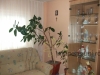 Apartment Costy | accommodation Eforie Sud