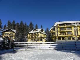 Villa Casa Viorel | accommodation Poiana Brasov