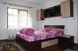 Apartment ELDYA COMFORT&SUITES | accommodation Predeal