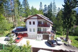 Villa Brianna | accommodation Predeal