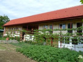Pension Casa Serban | accommodation Rasinari