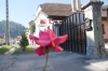 Pension Izvor | accommodation Rasnov