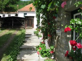 Pension Abelia | accommodation Rimetea