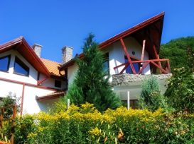 Villa Anastasia | accommodation Sacaramb