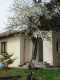 Pension Casa Galbena | accommodation Sfantu Gheorghe (TL)