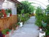 Pension Lucia | accommodation Sfantu Gheorghe (TL)