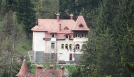 Villa Sinaia 1929 | accommodation Sinaia