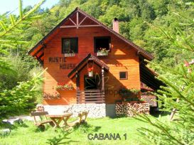 Pension Rustic House | accommodation Stana de Vale