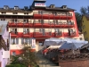 Villa Alpin | accommodation Straja
