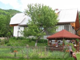 Pension Casa Din Poiana | accommodation Valea Ariesului