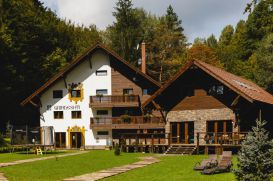 Pension Gasthaus Grindeshti | accommodation Valiug