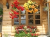 Pension Crizantema | accommodation Vatra Moldovitei