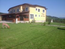 Pension Poiana Caprioarei | accommodation Vernesti