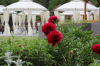 Pension Casa Doamnei | accommodation Voronet