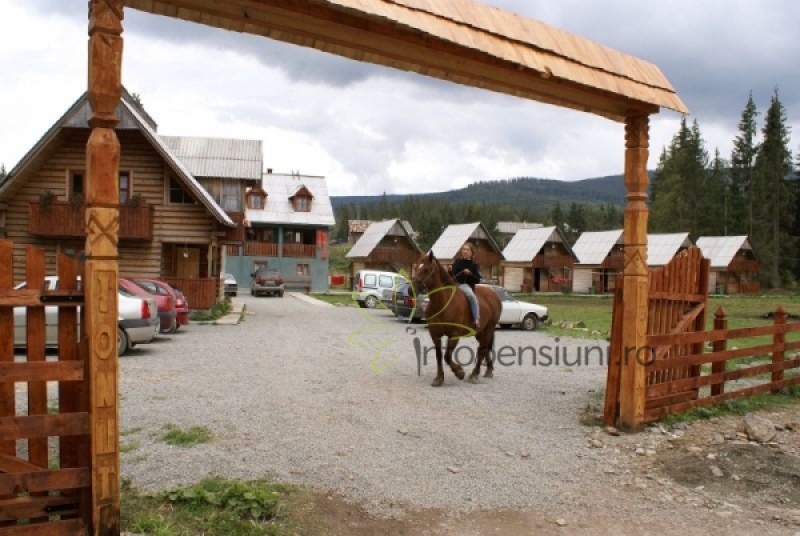 pensiuni