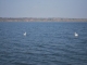 Lacul Bucecea   - hantesti
