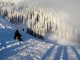 Partie ski Izvorul Muresului - izvorul-muresului