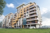 Apartament Vila Sophia 1 - Cazare Mamaia