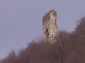 Ruinele cetatii Mehadia
