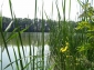 Lacul Valea Rosie (Mitreni) - mitreni