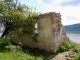 Ruinele bisericii din Svinita