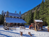 chalet Conacul Ursului | Cazare Transfagarasan