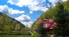 Pension Pastravaria Bratioara - accommodation 