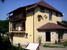 Villa Gest - accommodation Crisana