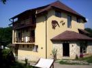 Villa Gest - accommodation Baile Felix