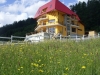 Pension Zenit - accommodation Brasov Si Imprejurimi