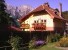 Villa Foisor - accommodation Valea Prahovei