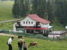 Pension T6 - accommodation Piatra Craiului