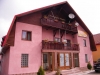 Pension Bujor de munte - accommodation Transilvania