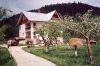 Pension Virginia - accommodation Piatra Neamt