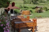 Pension Violeta - accommodation Transilvania