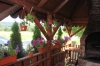 Pension Magura - accommodation Crisana