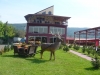 Pension Mara - accommodation Transfagarasan