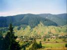 Pension Casa Alex - accommodation Bucovina