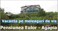 Pensiunea Eulor - Agapia