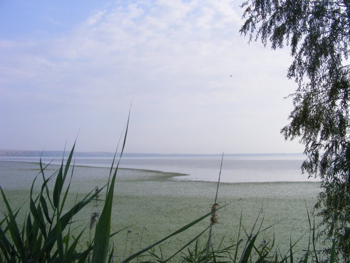 Lacul Oltina