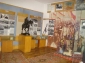 Muzeul Avram Iancu din Campeni