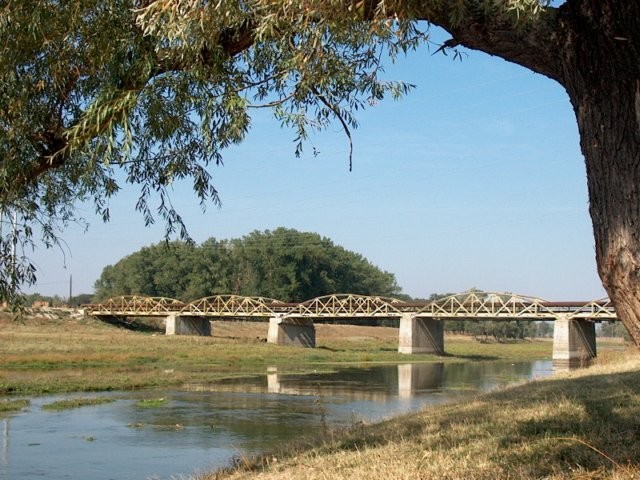 Podul metalic peste raul Vedea