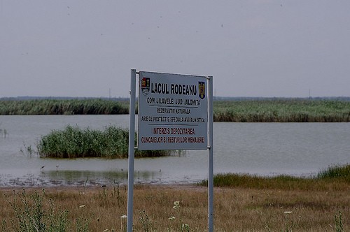 Lacul Rodeanu (Glodeanu)