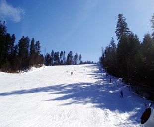 Partie ski Cazacu Varianta Azuga