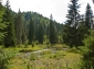 Rezervatia Naturala Molhasurile din Valea Izbucelor