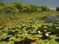 Parcul Natural Balta Mica a Brailei