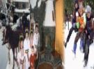 Vila Mama Cozonacilor si Rodica - Cazare Bran Moeciu