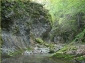 Rezervatia naturala Valea Sighistelului - campani